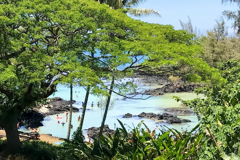 Beachfront Spectacular 1brm Mauna Loa Shores - Image 1
