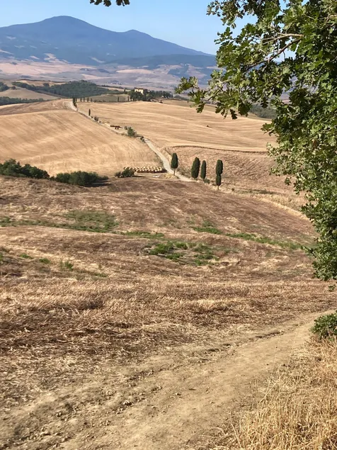 Pienza Apartment with garden - Image 1
