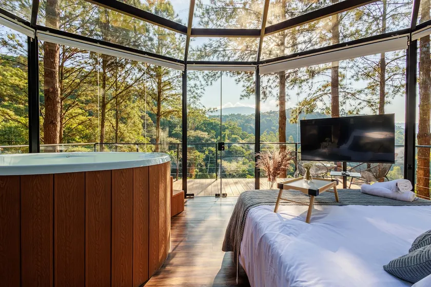 Wonderful Luxury Glass Cabin in Nature - Image 1