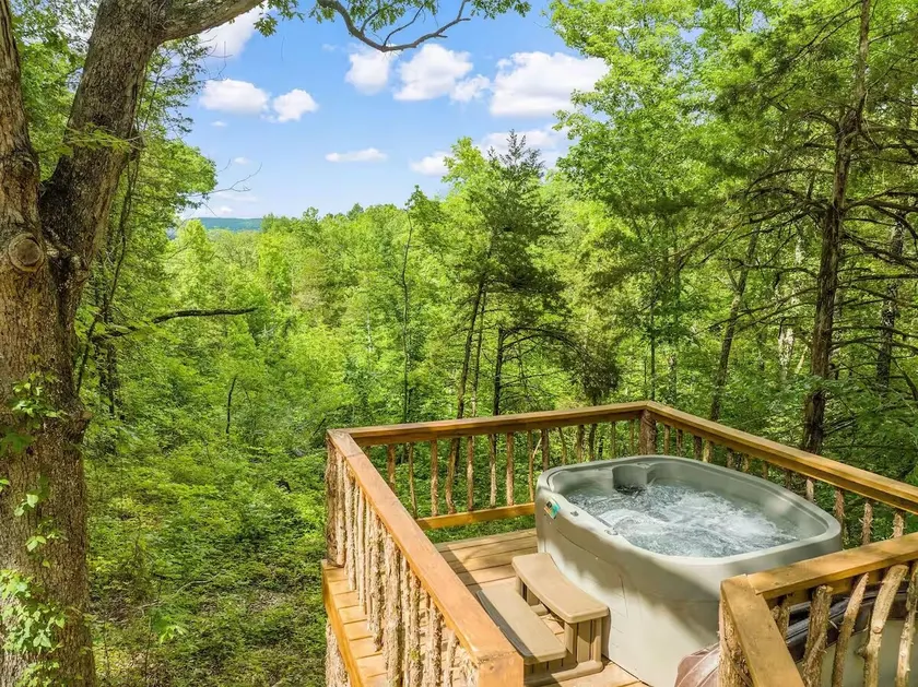 HotTub Tower Elk View Valley Private Buffalo River - Image 1