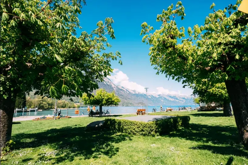 Lakeside Olti Apartment near Interlaken - Image 1