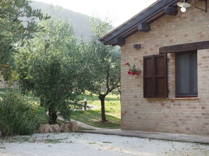 Olive Trees and Paths Apartment - Image 1