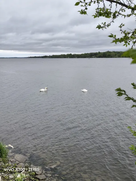 Waterfront Cottage at Hay Bay - Image 1