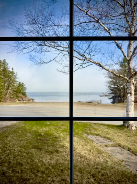 Swan's View - Image 1