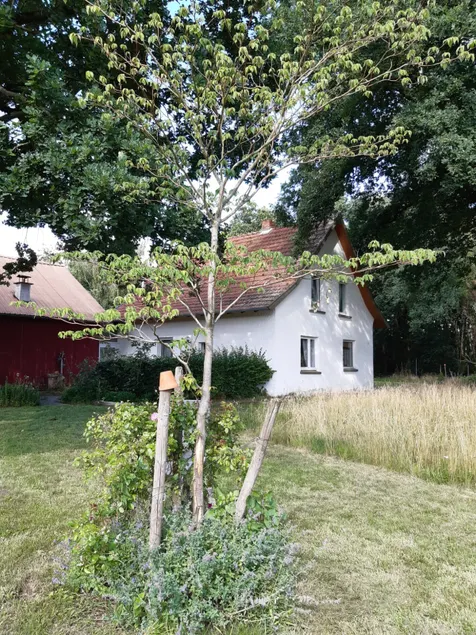 Holiday home ”Alte Schäferei” - Image 1
