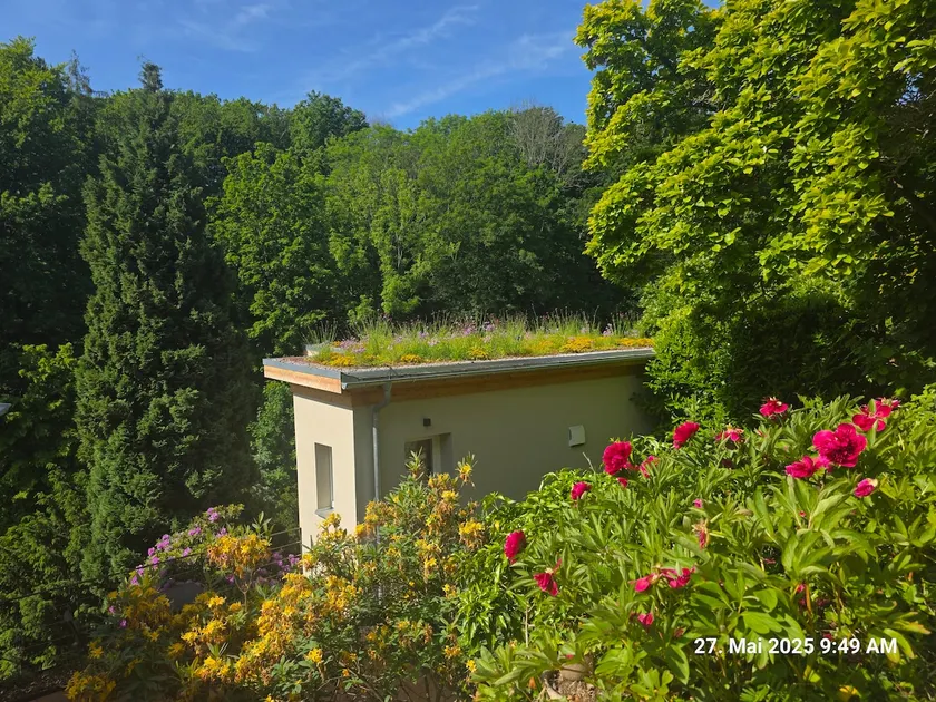 House Sonnenschein Dresden - Image 1