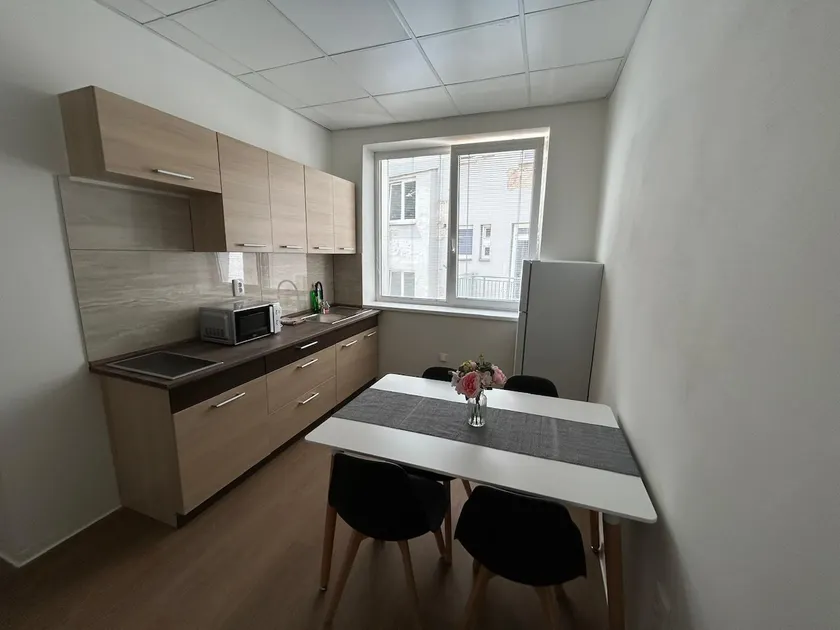 Skodova Apartments - Image 1