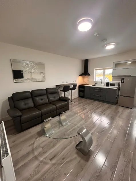 Entire Apartment in Ardagh - Image 1