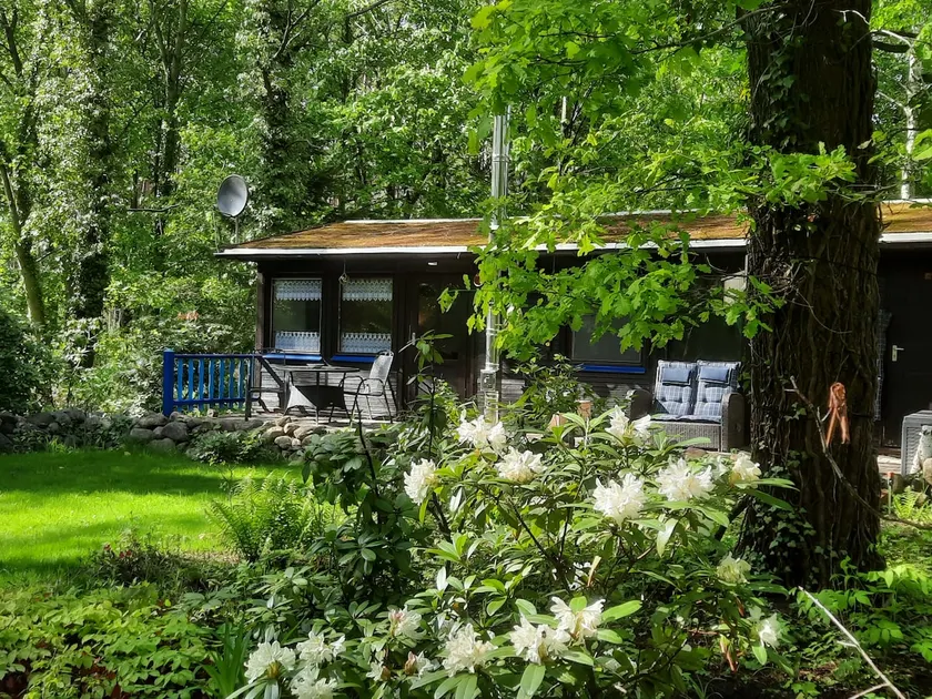 Nature Vacation Tiny House Vacation Paradise Old Oak Trees - Image 1