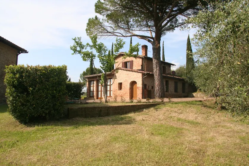 Colombina, in the middle of olive groves just 5 km from Siena - Image 1
