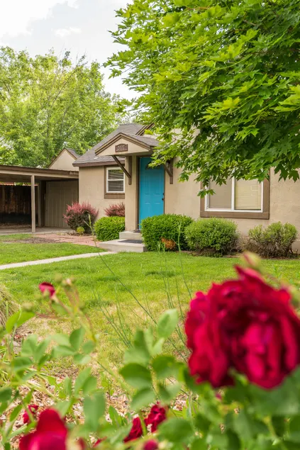 Rockin' Sunset Cottage-Near Hyde Park/Downtown - Image 1