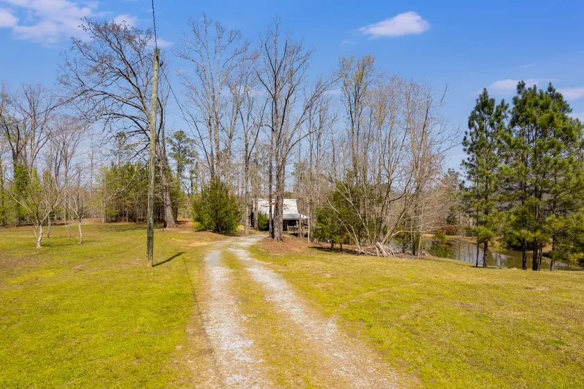 Enchanted Forest Cabin/Catfish pond River Bluff - Image 1