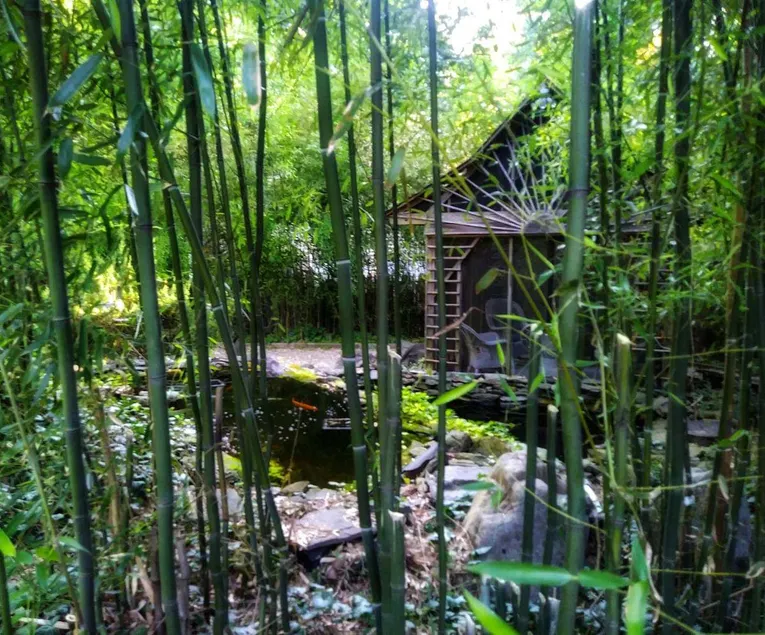 Guest Suite/Private Entrance/On the Hill - Image 1