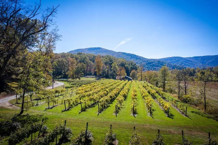 Mountain Vineyard Cottage - Image 1