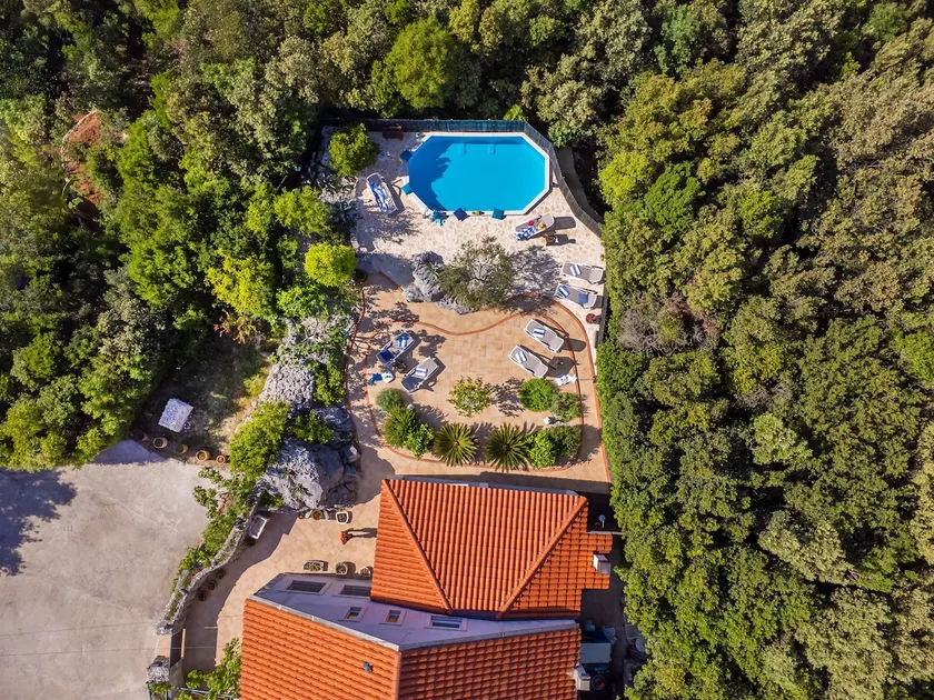 Hideaway Villa Antiq Dubrovnik area / POOL /BBQ - Image 1