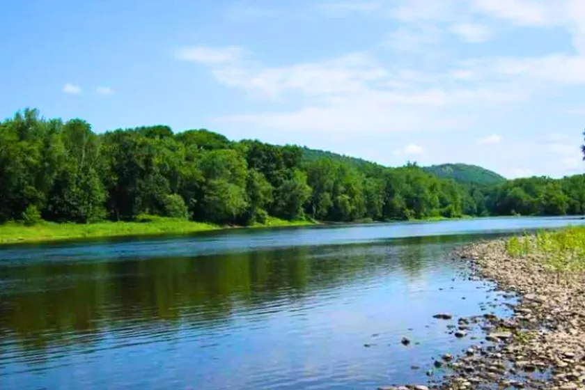 Rare River Views & Access, Cabin by Eden Islands - Image 1