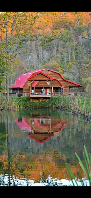 THE LUXURY CABIN IN THE WOODS - Image 1