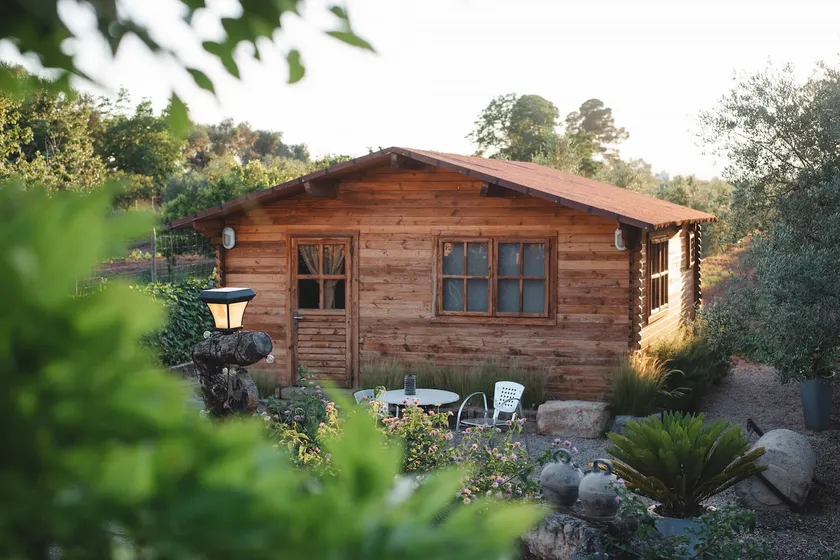 Rustic house with pool and olive trees on private property - Image 1