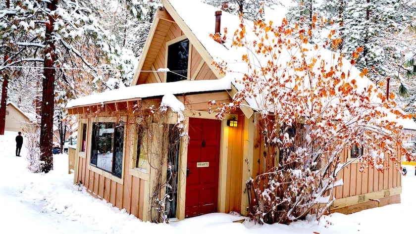 Sleepy Forest Cottages - Image 1