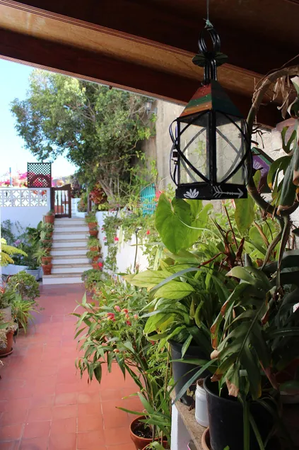 Casa Los Palitos - Image 1