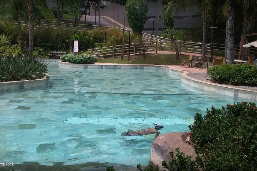 Flat 1 (Hotel Luppi) - Rio Quente, GO - Image 1