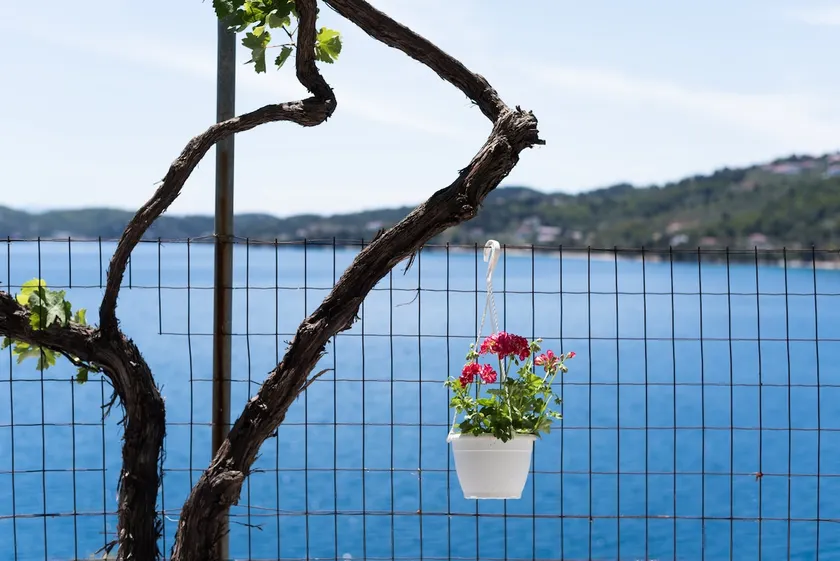 Thea Summer House - Image 1