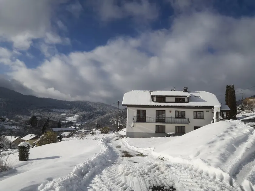 Family cottage in Ballon d'Alsace - PRM - COOL - Image 1