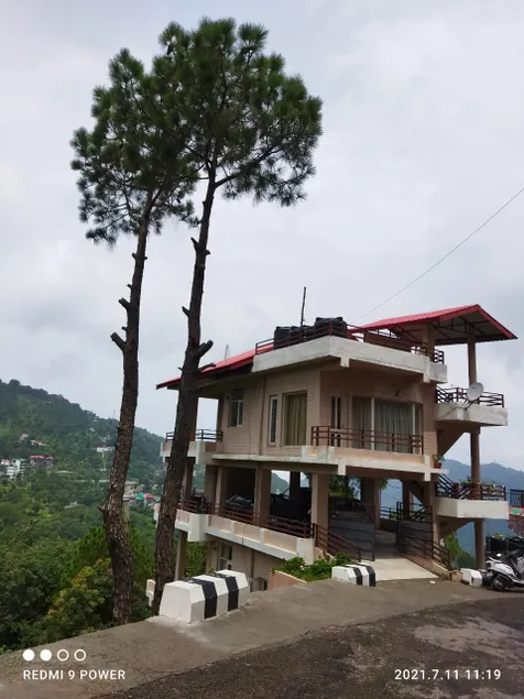 Bulbul Royal Nest - Image 1