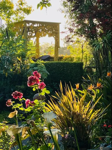 The Secret Garden - Image 1