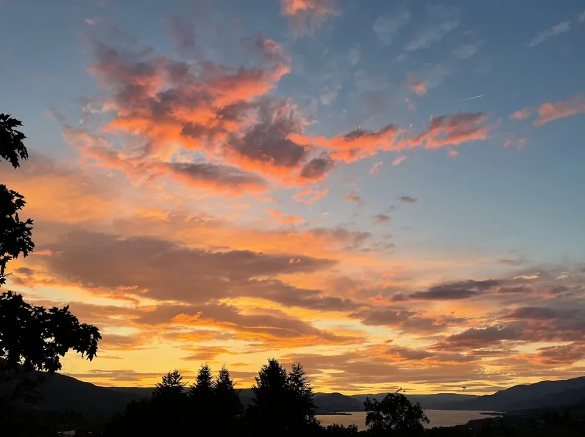 Sunset Vineyard Escape. - Image 1