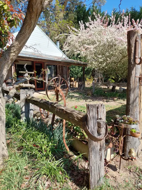 Amongst The Vines - Image 1