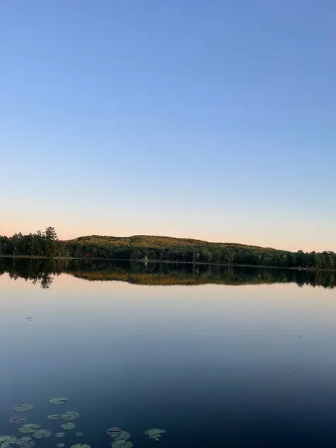 Relaxing Cabin on Beaver Lake - Image 1