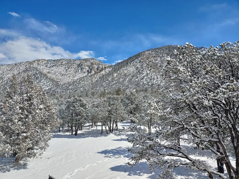 399 Sunshine Ranch - Image 1