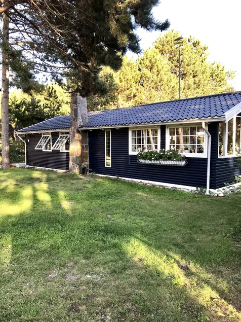 Cozy cottage near beach and nature - Image 1