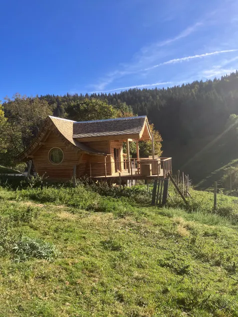 Unusual Cabin - Lynx Cabin - Image 1