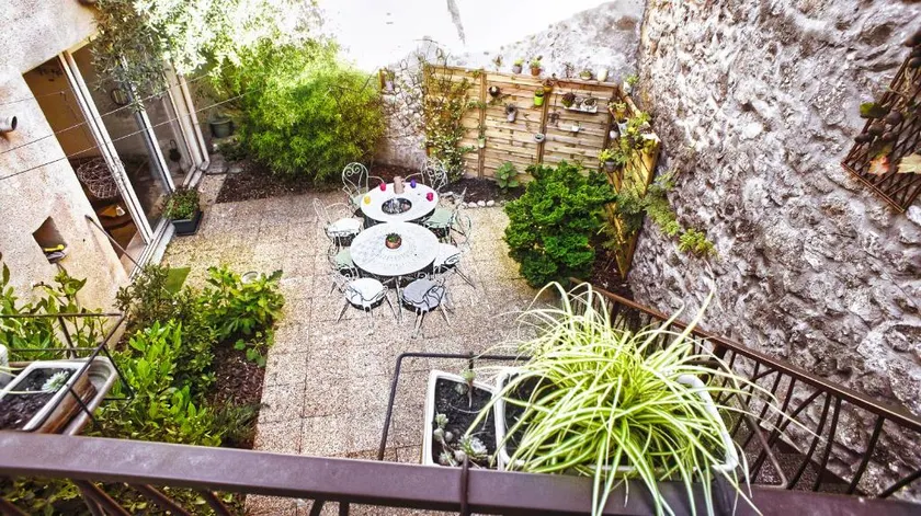 The Rabbit in the Courtyard - Image 1