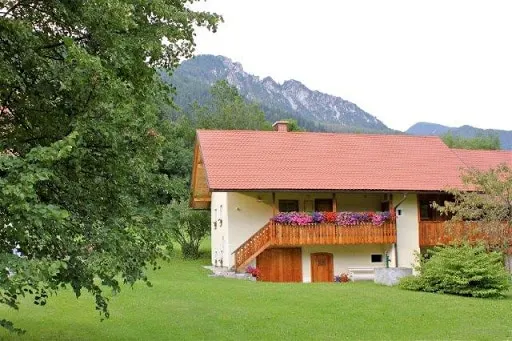 House Alpine Rose - Image 1