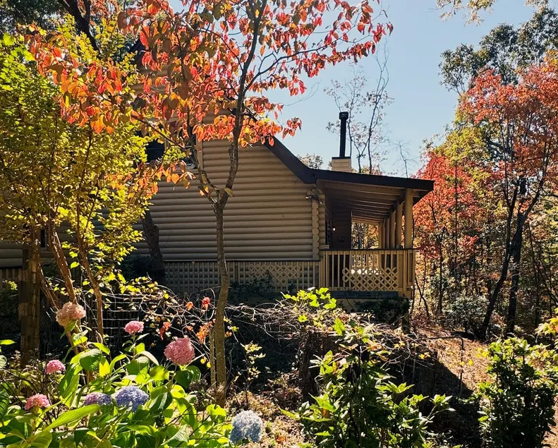 Cozy Cabin | 2 King Suites| Sleeps 10- New Hot Tub - Image 1