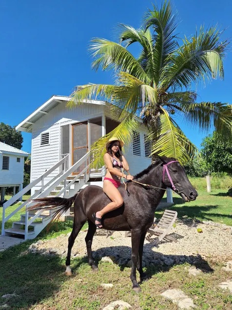 Horse Cottage # 1 - Image 1