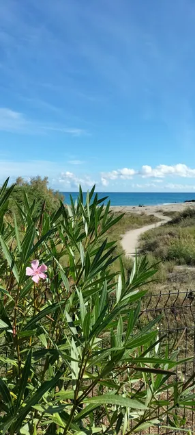 Two-bedroom apartment with sea view and frontage, beach 50 m away, pool - Image 1
