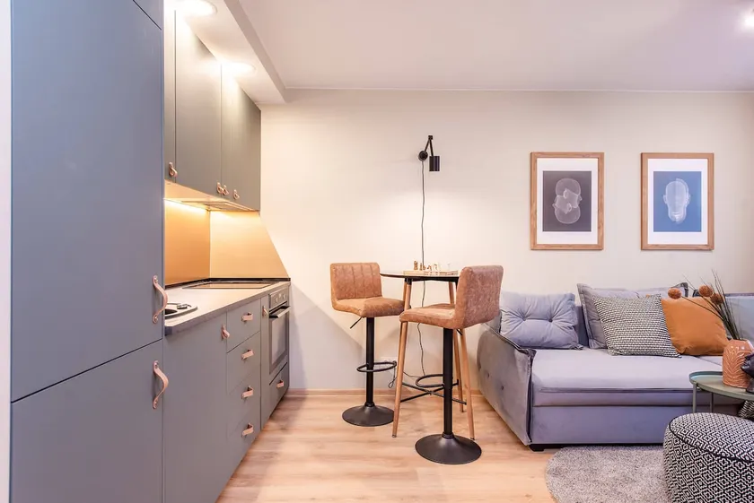 Cozy flat in Antakalnis - Image 1