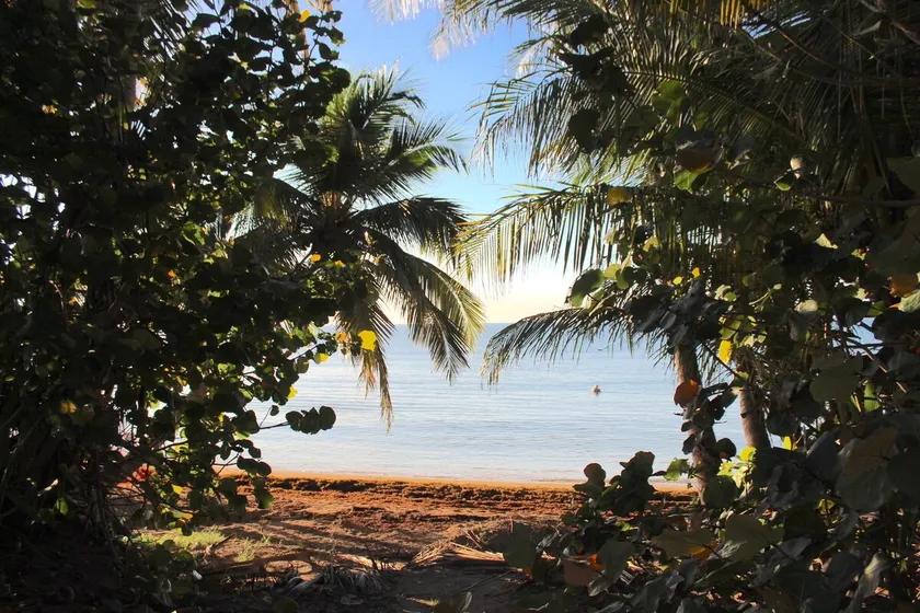 Seaside, Tennis, Pickleball, Golf, Pool - Image 1