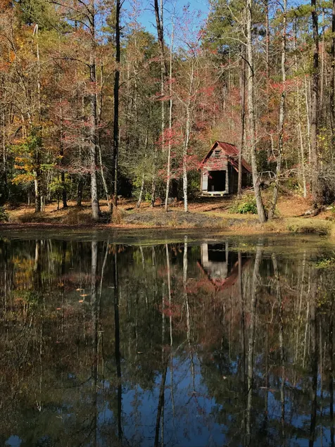 Caesars Head Rustic Cabin & Fishing Pond - Image 1