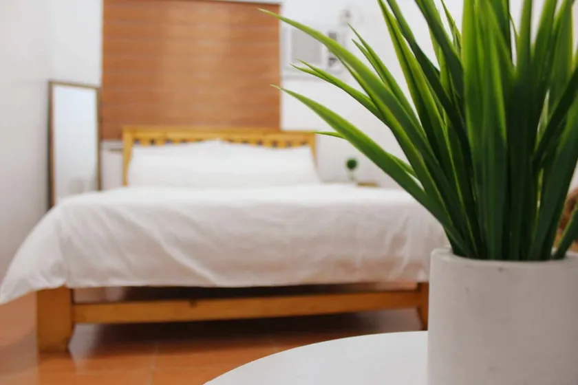 Cozy White & Kahoy Apartelle - Image 1