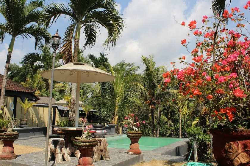 Welcome to Ola Homestay - Image 1