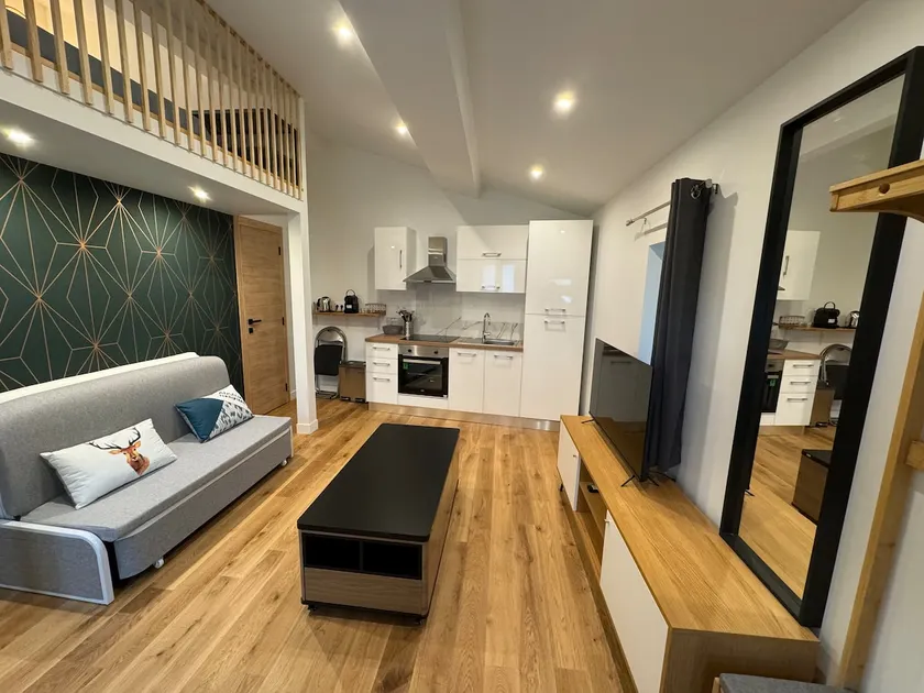 Premium renovated studio - Image 1