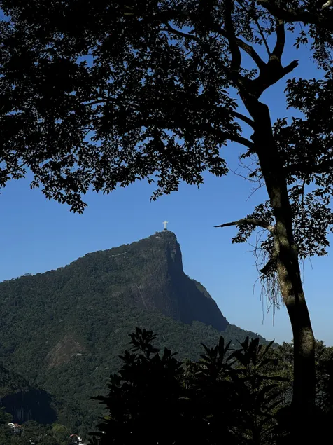 Special mansion in Gávea: Pellegrino Houses - Image 1