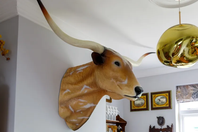 The House of the Happy Horny Cow - Image 1