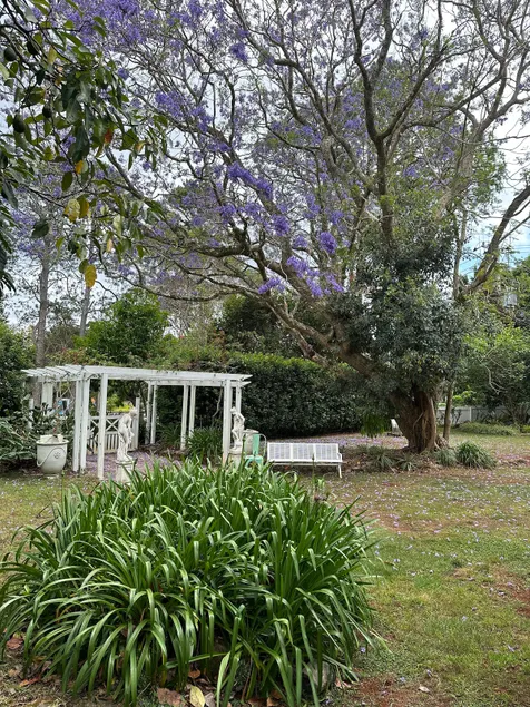 Camellia Cottage - Image 1