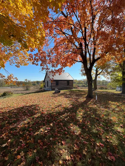 Cabin overlooking wetland area. - Image 1